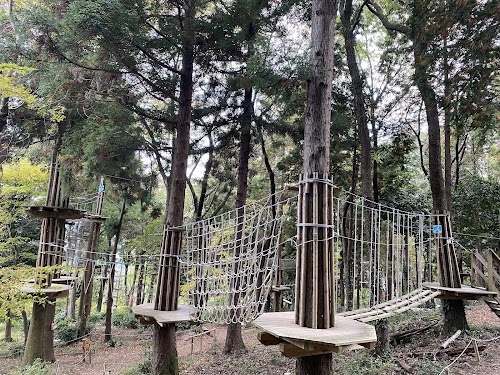 Forest Adventure Tsukuba