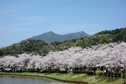 Hojo Oike Pond