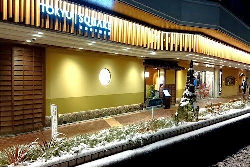 Kanazawa Tamazuzhi