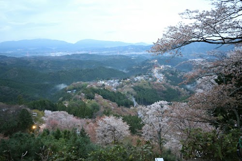 Nara