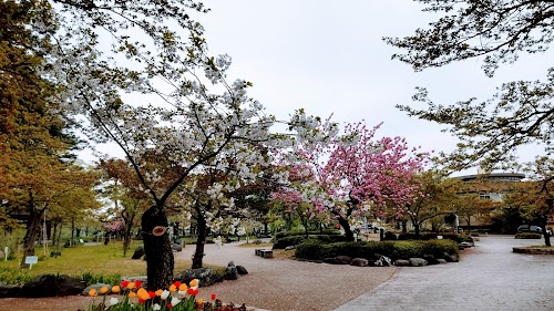  Niigata location image photo