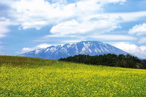  Iwate location image photo