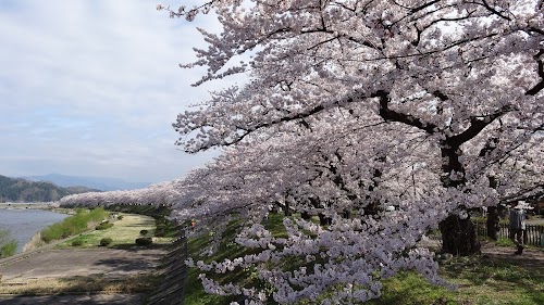  Akita location image photo
