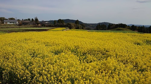  Kirishima location image photo