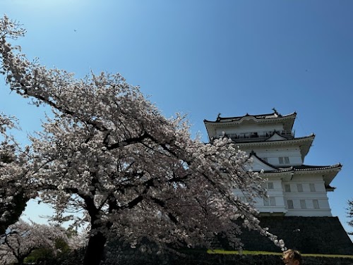  Odawara location image photo