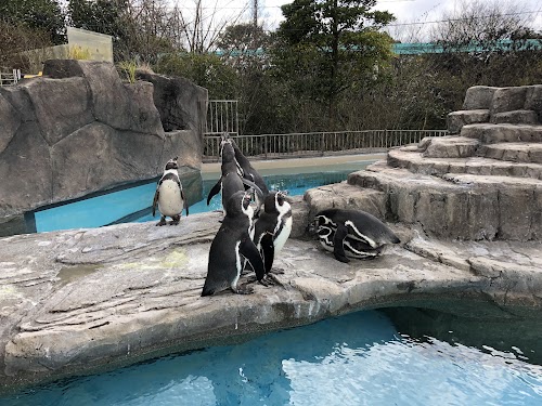 Kumamoto City Zoo and Botanical Garden