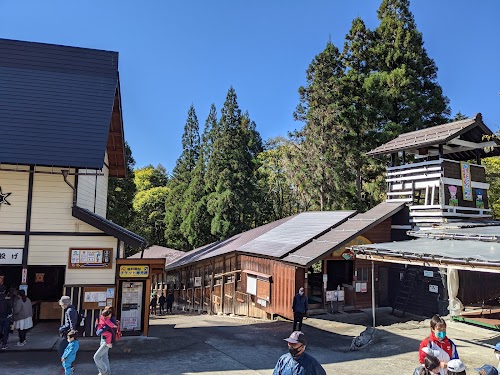 Kids’ Ninja Village