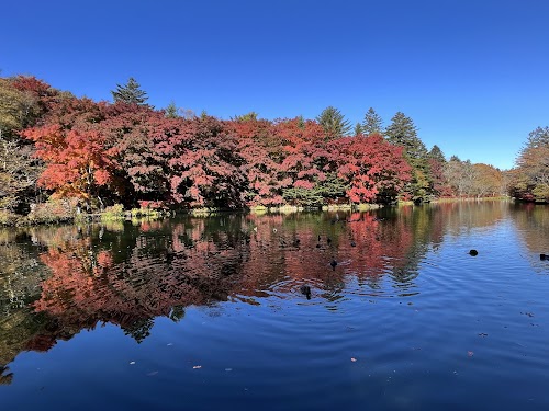 Kumoba Pond