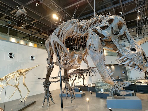  Nagasaki City Dinosaur Museum location image photo