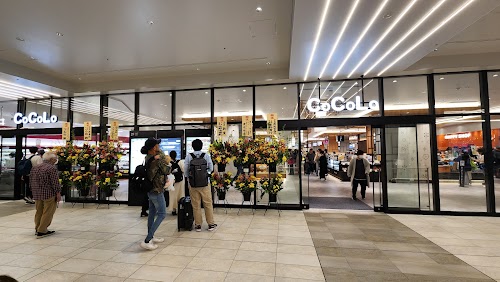  CoCoLo Niigata location image photo