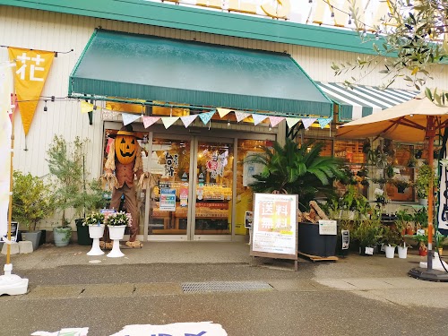  Minato Marche Pier Bandai location image photo