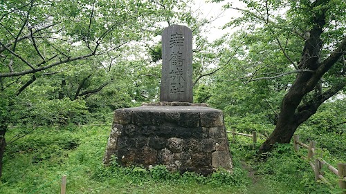 Murakami Castle Ruins