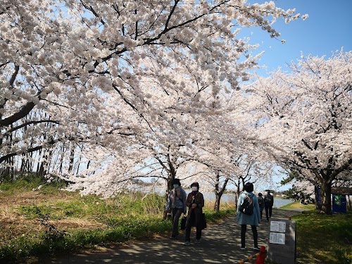Toyanogata Park