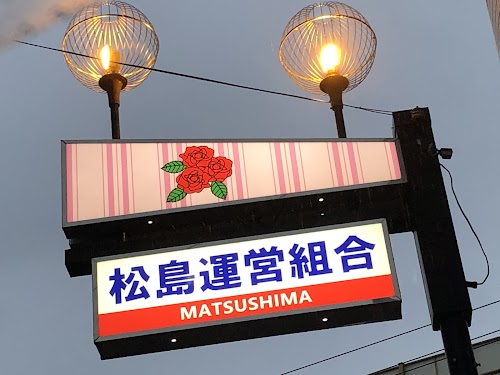 Matsushima Shinchi