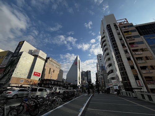 Dotonbori Bridge 道頓堀橋