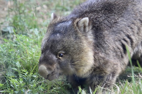  Satsukiyama Zoo location image photo