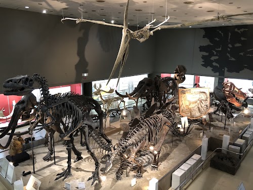  Osaka Museum of Natural History location image photo
