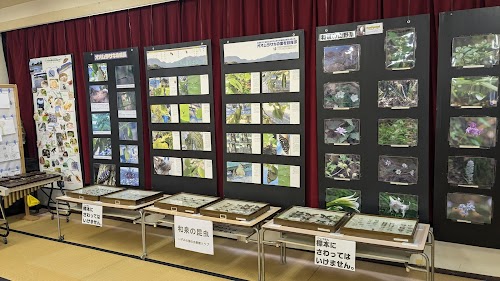 いずみの国の自然館（NPO法人 いずみの国の自然館クラブ