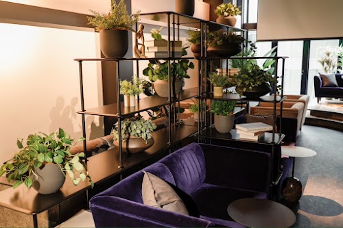 shisha cafe & bar suien in Osaka シーシャカフェ＆バー翠煙/スイエン 大阪難波道頓堀店 (shisha cafe & bar suien)