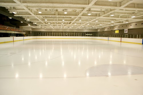  Naniwa Ice skating location image photo