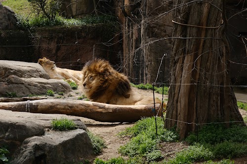  Tennoji Zoo location image photo