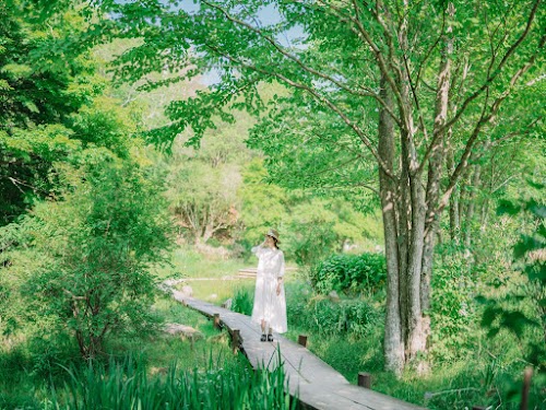  Rokko Morinone Museum location image photo