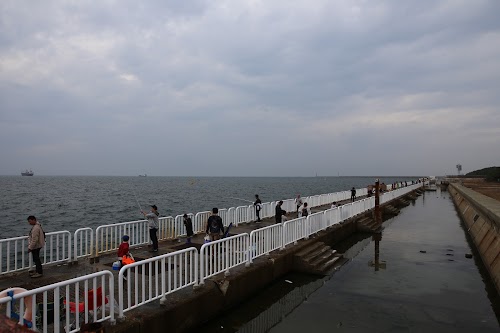 Osaka Nanko Fishing Gardens