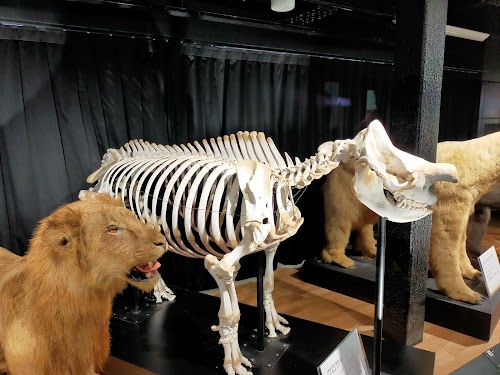Tennoji Zoo Museum