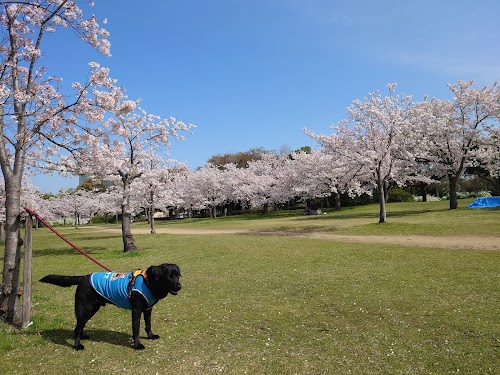Kishiwada City Central Park 岸和田市立まなび中央公園