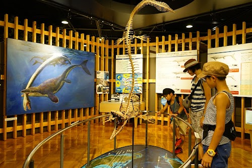 Kishiwada Nature Museum きしわだ自然資料館