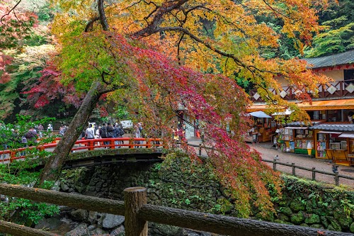  Minoh Falls location image photo