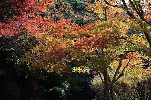  Arita History and Folklore Museum location image photo