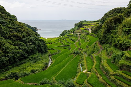  Terraced Rice Fields of Hamanoura location image photo