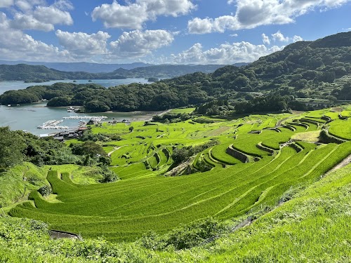 Oura Rice Terraces Observation Deck location image photo