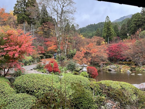  Kankyo Geijutsu No Mori Park location image photo