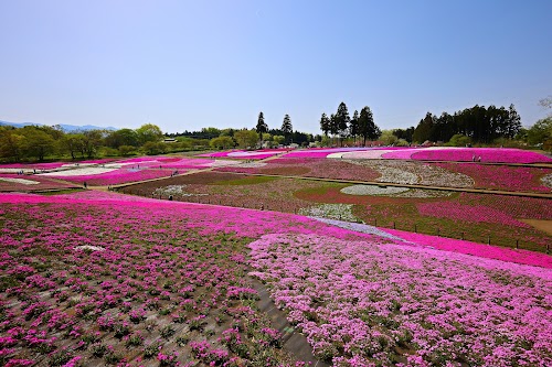 Hitsujiyama Park