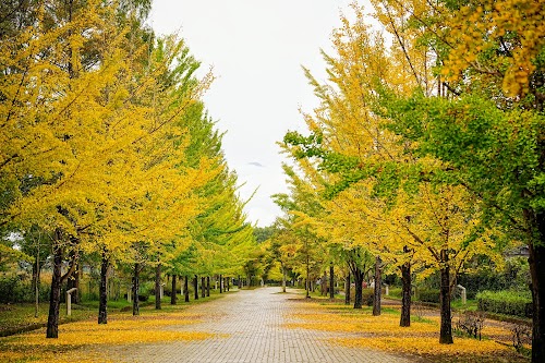  Chichibu Muse Park location image photo