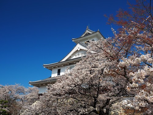  Nagahama Castle Historical Museum location image photo