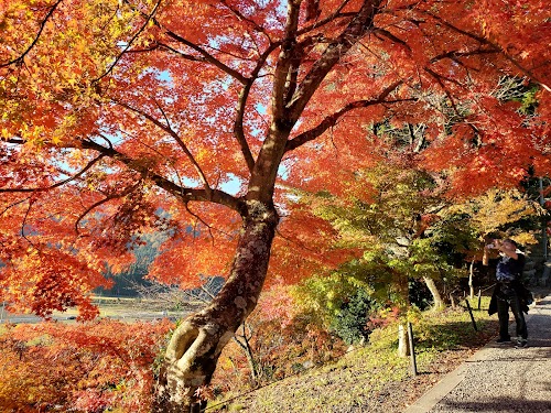  Keisoku-ji Temple Parking Lot location image photo
