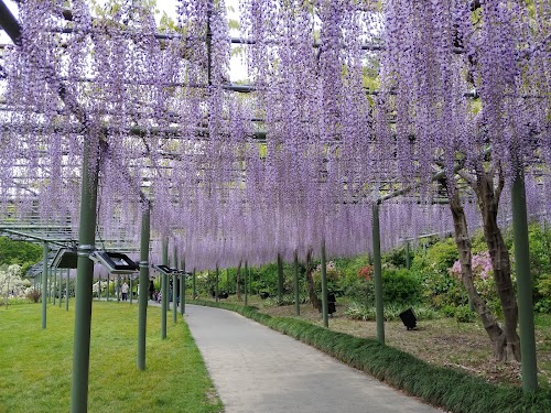 Hamamatsu Flower Park