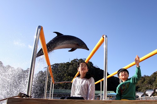  Shimoda Floating Aquarium location image photo