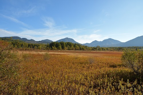 Senjōgahara Marshland