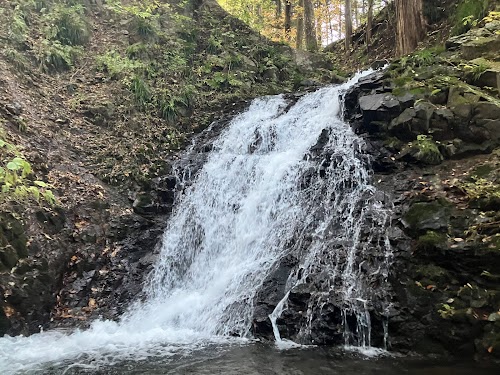 Shiraito Falls