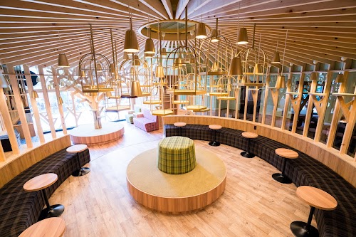 Cat cafe MoCHA Akihabara Store