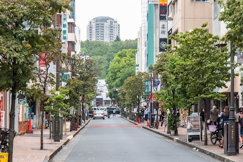 Hiroo Walking Street