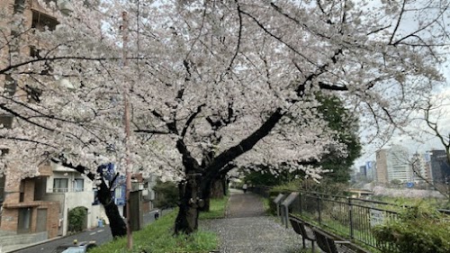  Sotobori Park location image photo