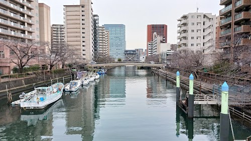 Tsukishima