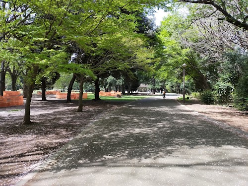  Tulip Tree Square, Hikarigaoka Park location image photo