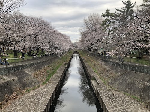  Wadabori Park location image photo