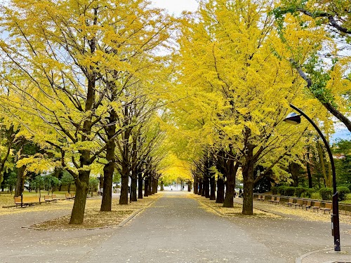 Hikarigaoka Park